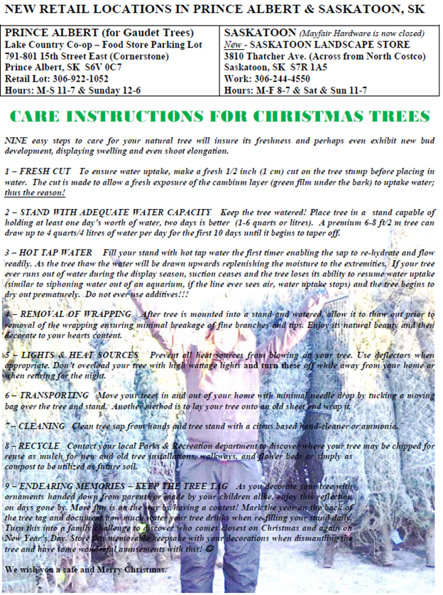 Christmas tree care and retail location updates